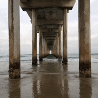 jethroames loop howto favthings GIF