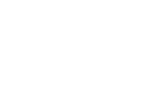 Leoniden Sticker by IRRSINNIRRSINN