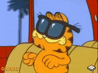 happy garfield goes hollywood GIF by Boomerang Official