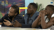 Bbnaija GIF by Big Brother Naija