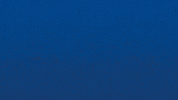 Bourg En Bresse Win GIF by Football Bourg-en-Bresse Péronnas 01