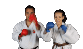 IsshoniKarate isshoni isshonikarate Sticker