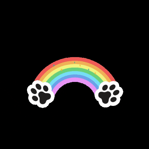 Rainbows GIF by mydog