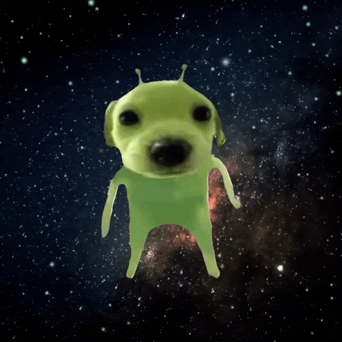 Space Dog GIF