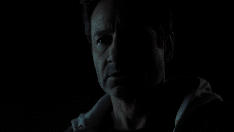 the x files scully GIF by Fox TV
