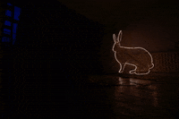 Lonneke Cuppen GIF by CRimptonite