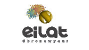 eilatviajes new years eve eilat eilat año nuevo eilat 2020 Sticker