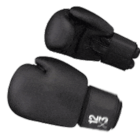 Punch Boxing Sticker by 12x3gym