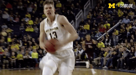 March Madness GIF by Michigan Athletics