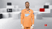 Posing Line Up GIF by Bundesliga