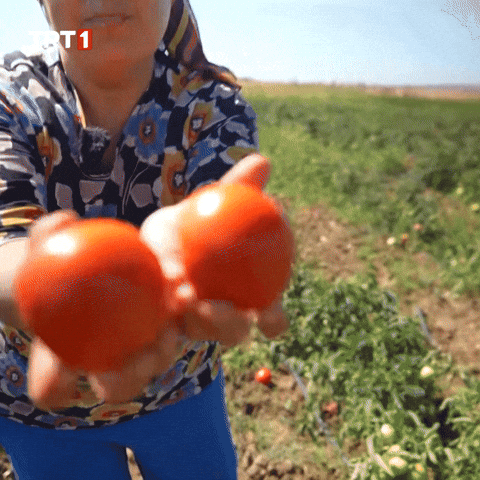 Twins Eat GIF by TRT