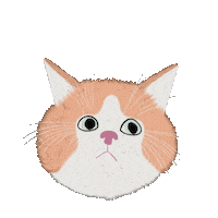 Cat Meow Sticker