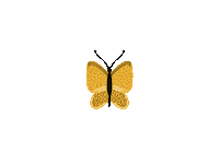 loesbolder butterfly papillon geel farfalla Sticker