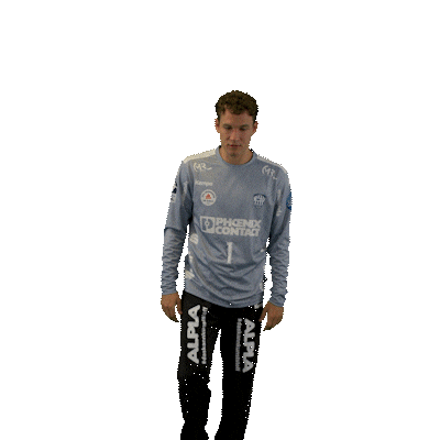 Handball Lemgo Sticker by DAIKIN HBL