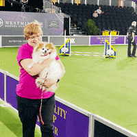 Westminster Dog Show Dogs GIF by Westminster Kennel Club