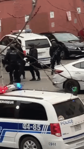 Major Police Operation Underway at Ubisoft Building in Montreal