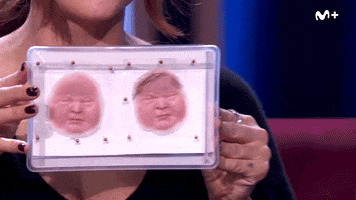 Miren Ibarguren Fx GIF by Movistar Plus+