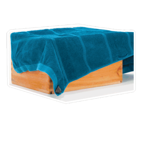 Cats Sticker by Petsure UK