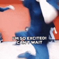 Stray Kids Skz GIF