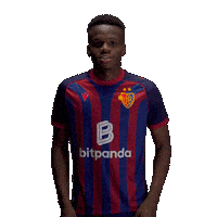 Football Soccer Sticker by FC Basel 1893