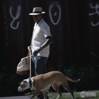 season 1 showtime GIF by The Chi