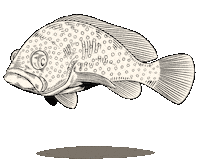 Fish 魚 Sticker
