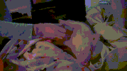 tummy GIF