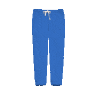 Royal Blue Clothing Sticker by hillswear