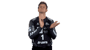 Handball-Bundesliga Applause Sticker by LIQUI MOLY HBL