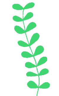 Seaweed Sticker