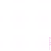 Art Cat GIF
