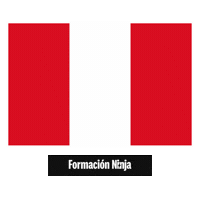 Peru Flag Sticker by Formación Ninja