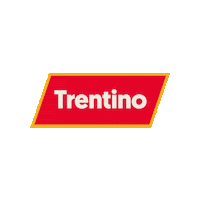 Moto Automovel Sticker by Fiat Trentino