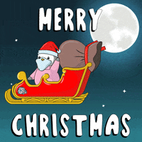 Merry Christmas GIF by Pudgy Penguins