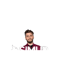 Seo Sticker by Simur