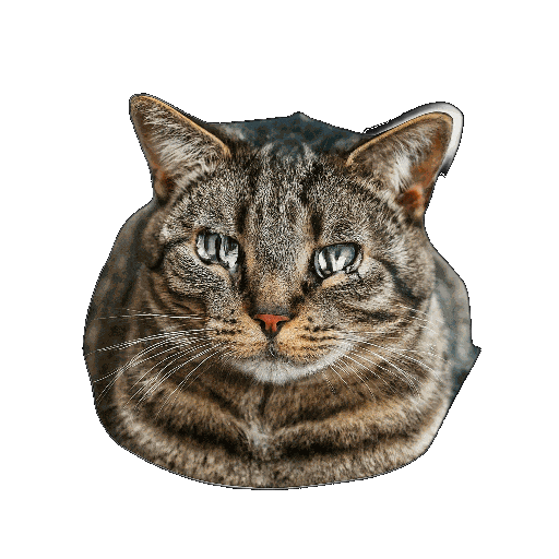 Sad Cat Sticker
