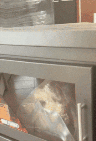 GIF animado