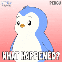 What Happen GIF by Pudgy Penguins