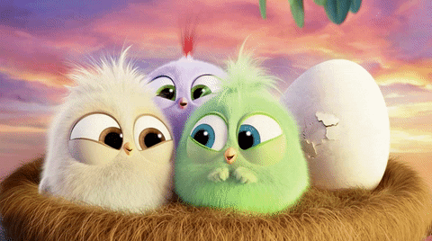 laugh nest GIF by Angry Birds