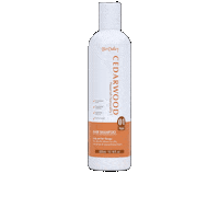 Shampoo Scalp Sticker by Bhargava Phytolab