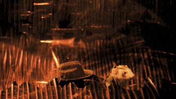 craig robinson lol GIF by Gunpowder & Sky