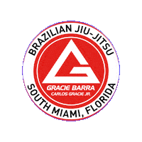 gbsmiami  Sticker