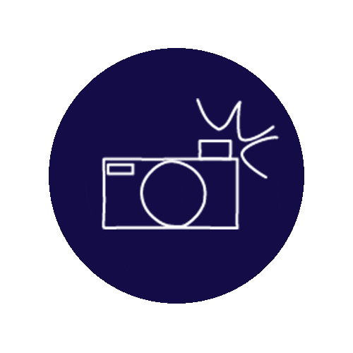 Photo Camera Sticker by Smartphoto