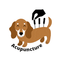 Cat Dog Sticker by Animal Rehabilitation Center