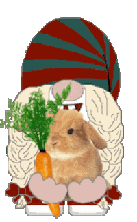 Panda Bears Monkey Sticker