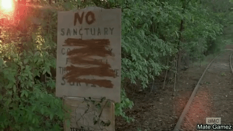 the walking dead GIF