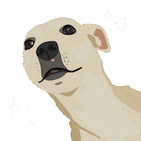 Dog Sparkle Sticker