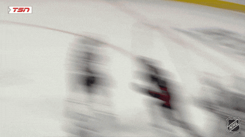 Happy Ottawa Senators GIF by NHL