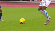 Zinedine Zidane GIF by Olympique de Marseille