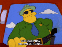 Season 2 GIF by The Simpsons